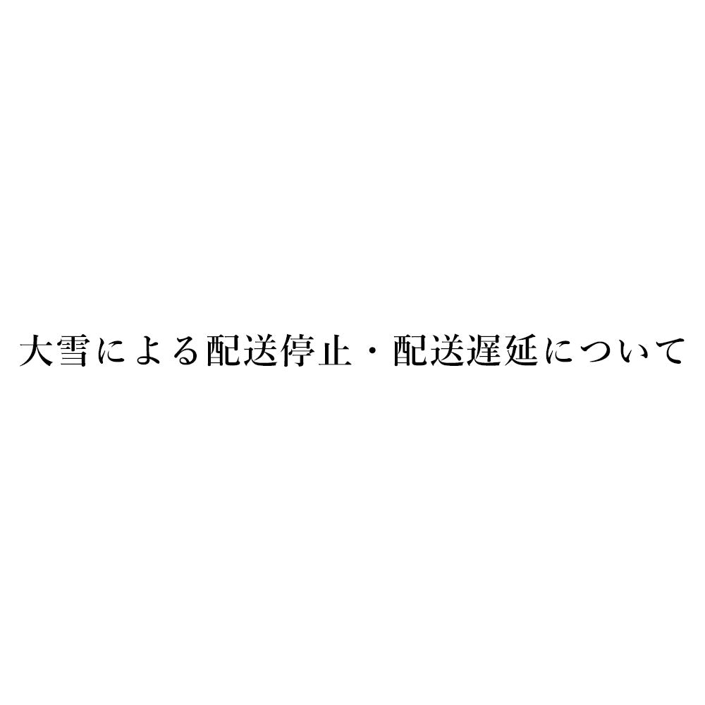 大雪による配送遅延について