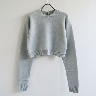 【AURALEE/オーラリー】<br>BRUSHED RASCHEL MOLE KNIT P/O <br>A23AP01RM