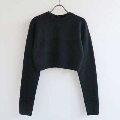 【AURALEE/オーラリー】<br>BRUSHED RASCHEL MOLE KNIT P/O <br>A23AP01RM