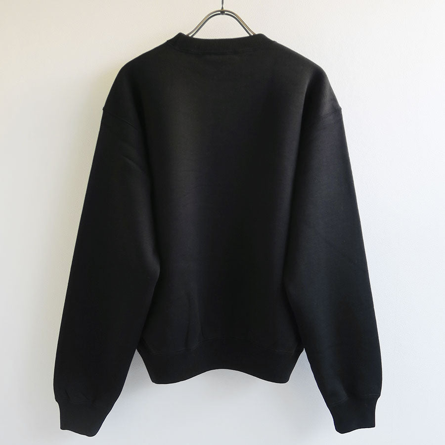 【AURALEE/オーラリー】<br>SMOOTH SOFT SWEAT P/O <br>A24AP06TU