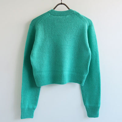 【AURALEE/オーラリー】<br>WOOL CASHMERE SILK KNIT SHORT P/O <br>A24AP02WC