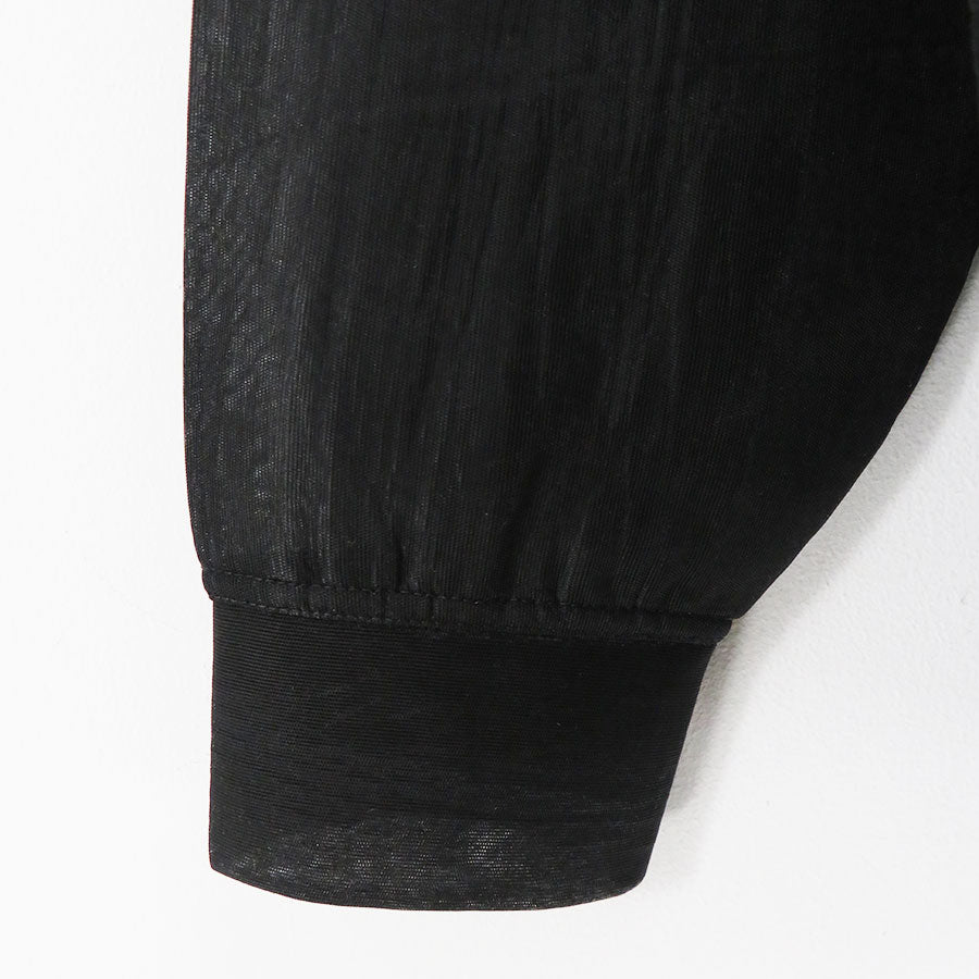 【AURALEE/オーラリー】<br>ELASTIC SHEER NYLON P/O <br>A24AP02ND