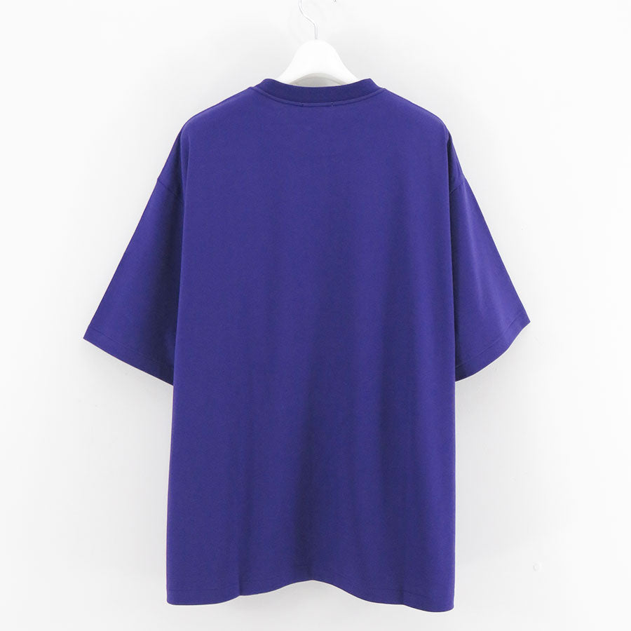 【ULTERIOR/アルテリア】<br>SUVIN SUEDED TENJIKU TEE <br>ULCS75-KA168