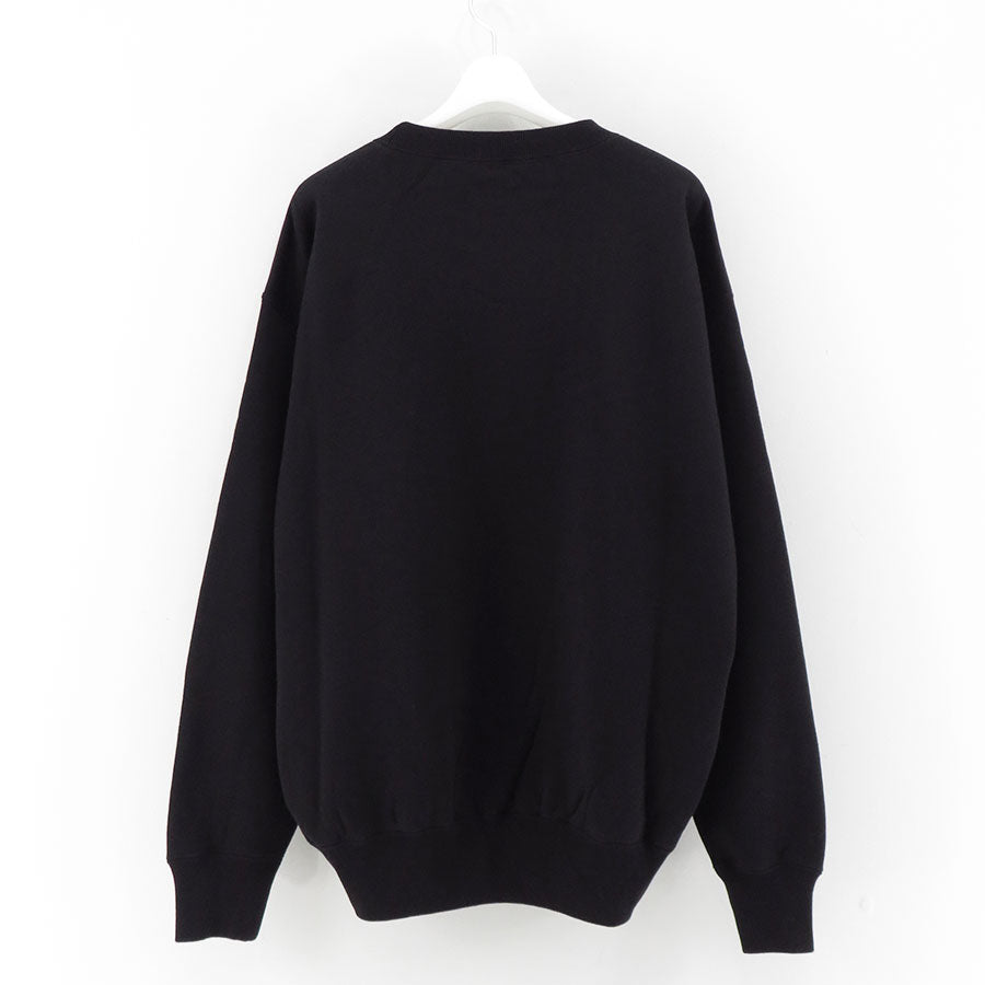 【AURALEE/オーラリー】<br>SMOOTH SOFT SWEAT P/O <br>A24AP03TU