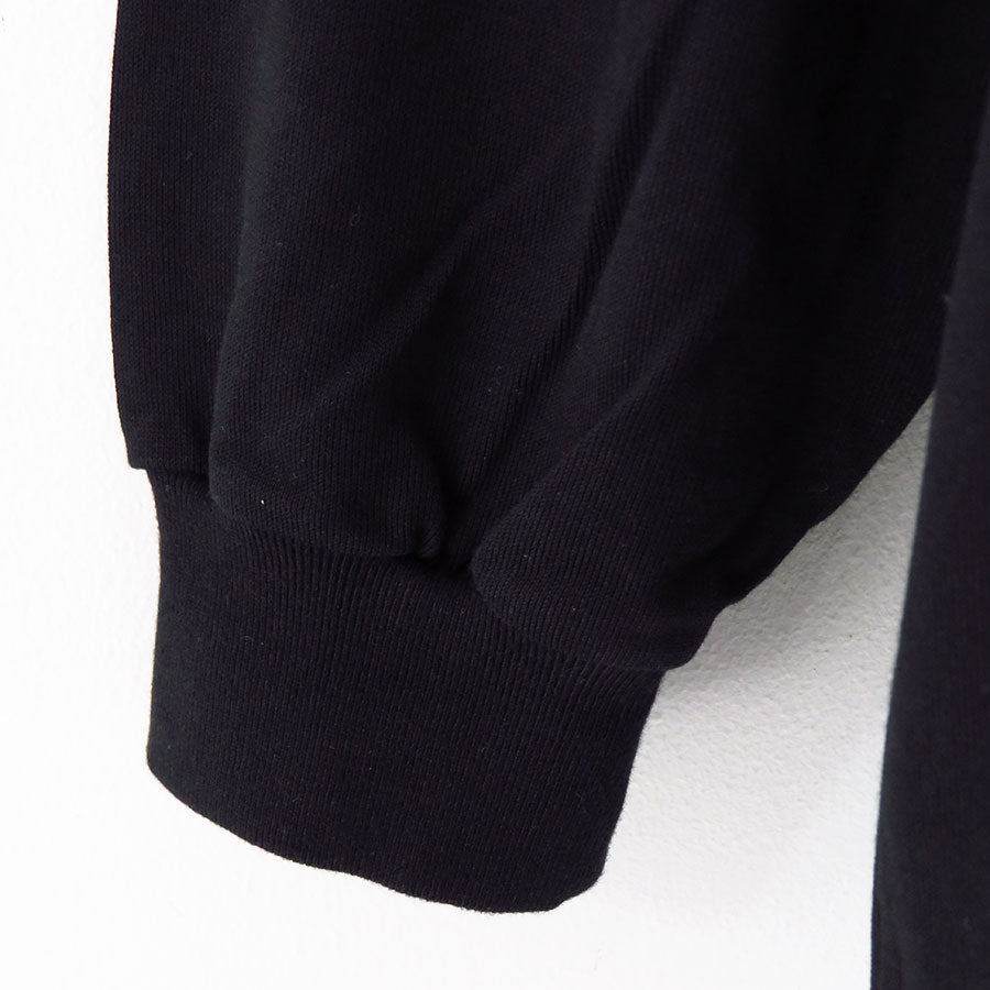 【AURALEE/オーラリー】<br>LUSTER PLAITING HI NECK L/S TEE <br>A23AP02GT