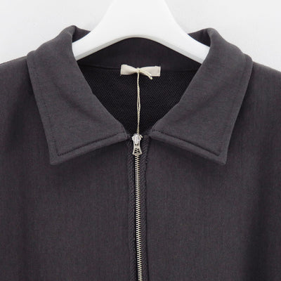【ULTERIOR/アルテリア】<br>FADED SILKY TERRY RW HALF ZIP P/O <br>UCS95-KC125