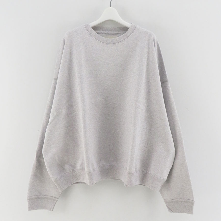ASH GRAY 