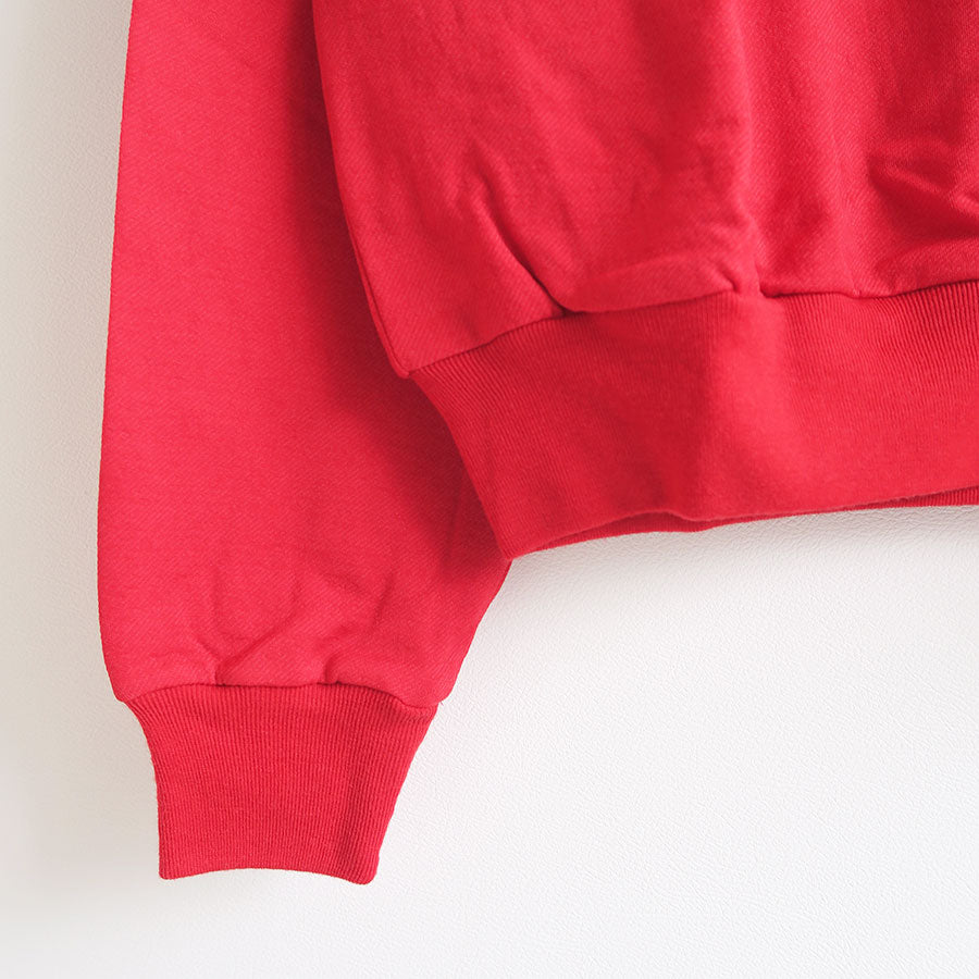 【AURALEE/オーラリー】<br>LIGHT WOOL SWEAT P/O <br>A25AP03WU