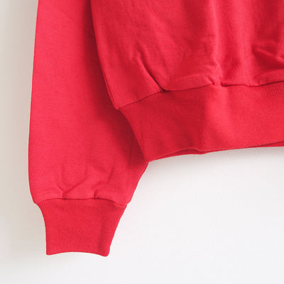 【AURALEE/オーラリー】<br>LIGHT WOOL SWEAT P/O <br>A25AP03WU