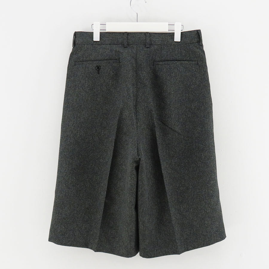 REVERBERATE/リバーバレイト】POLYESTER COTTON TACKED SHORTS REV