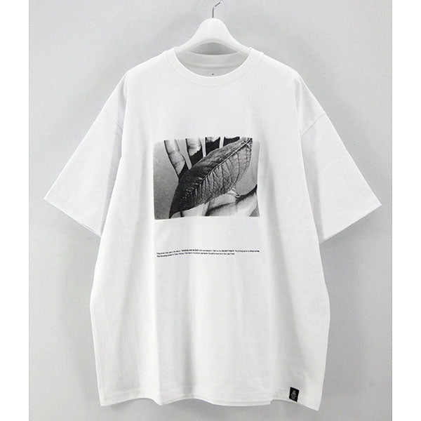 Graphpaper×ATON PRINT OVERSIZED T-SHIRTトップス