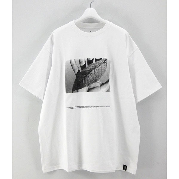 Graphpaper/グラフペーパー】POET MEETS DUBWISE for GP Oversized Tee ”SUN” – ONENESS  ONLINE STORE