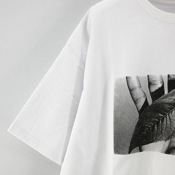 Graphpaper/グラフペーパー】POET MEETS DUBWISE for GP Oversized Tee ”SUN” – ONENESS  ONLINE STORE