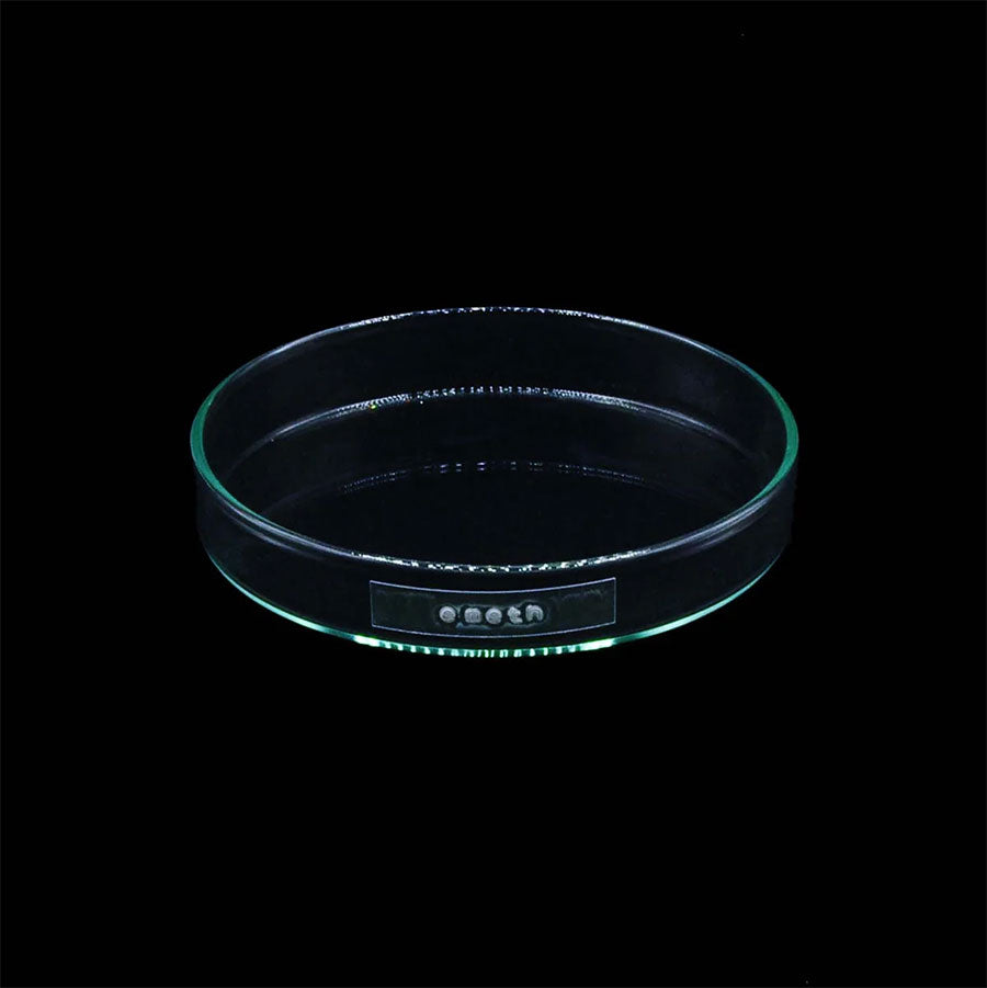 emeth/エメス】emeth No.001 Venus cactus pot emeth001の通販