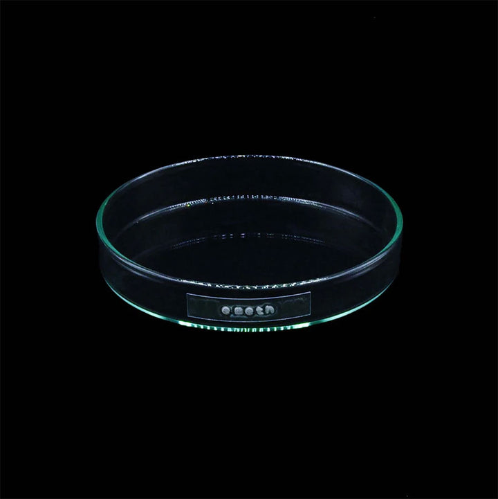 emeth/エメス】emeth No.001 Venus cactus pot emeth001の通販