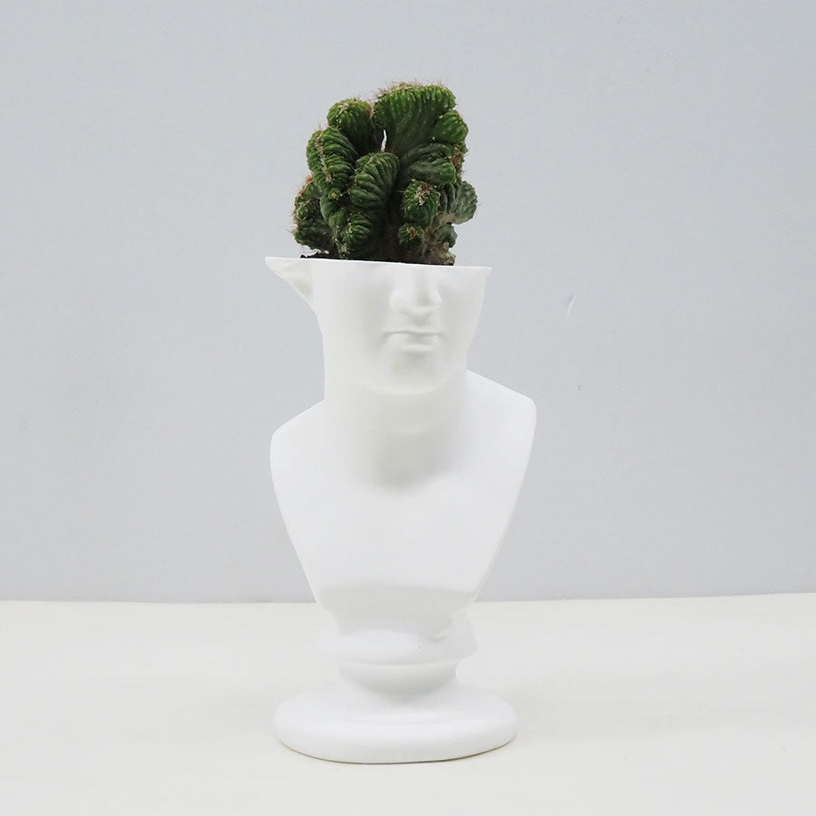 【emeth/エメス】<br>emeth No.001 Venus cactus pot <br>emeth001