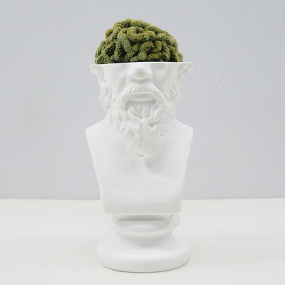 【emeth/에메스】<br> emeth No.002 Socrates cactus pot<br> emeth002 